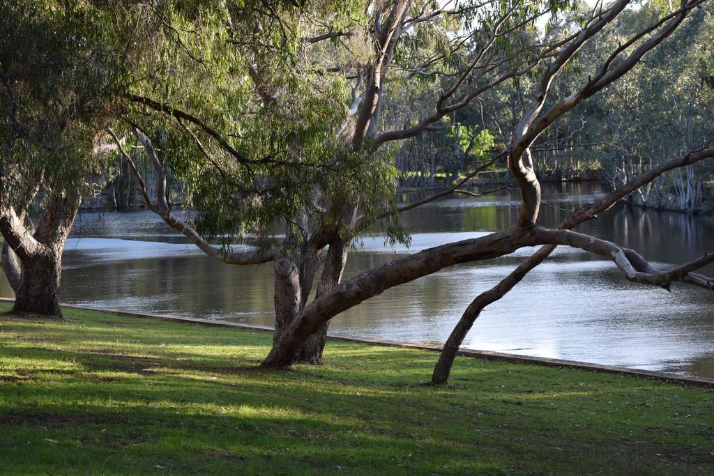 Bushy Lake Chalets Margaret River Exterior foto