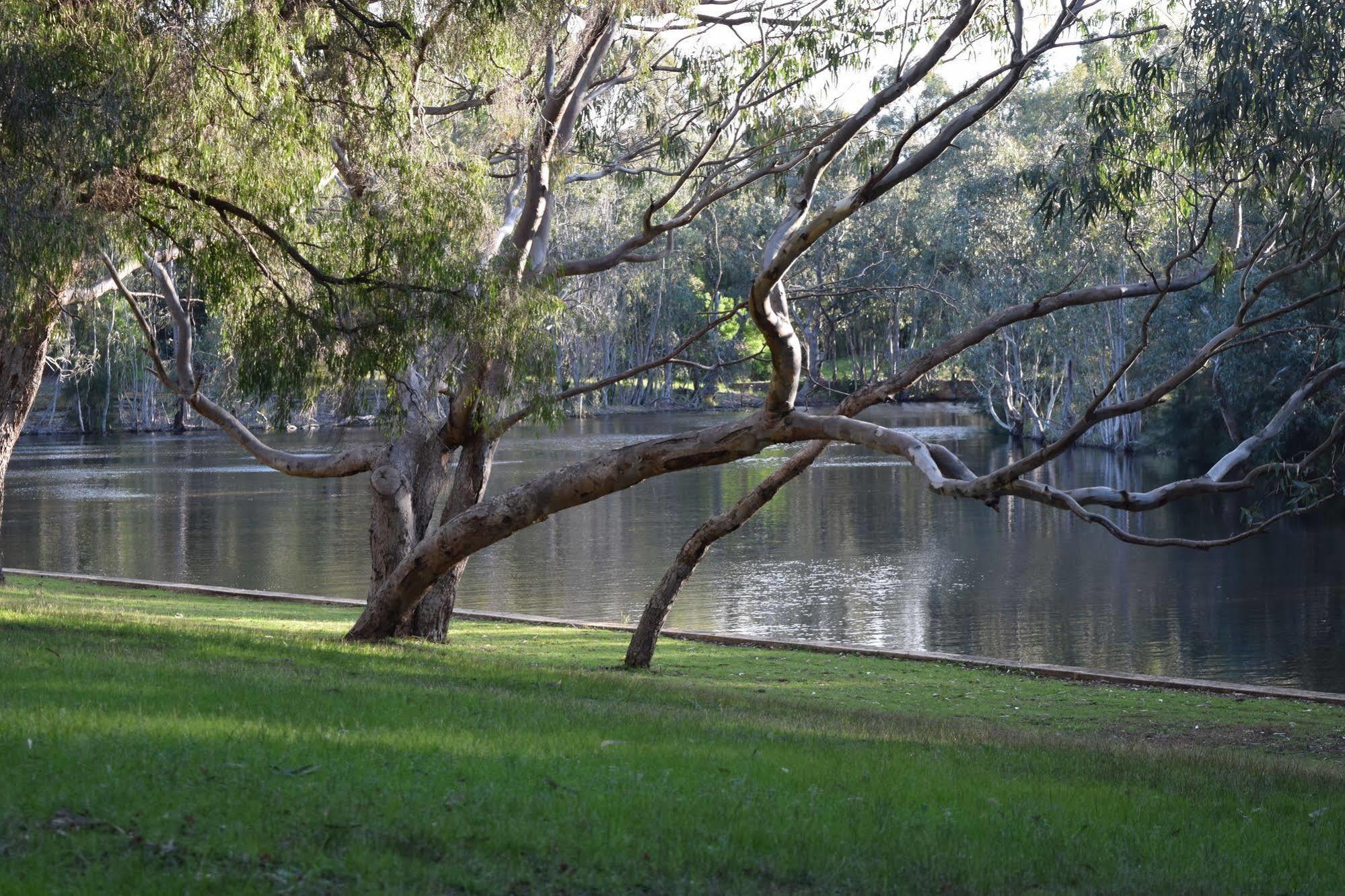 Bushy Lake Chalets Margaret River Exterior foto
